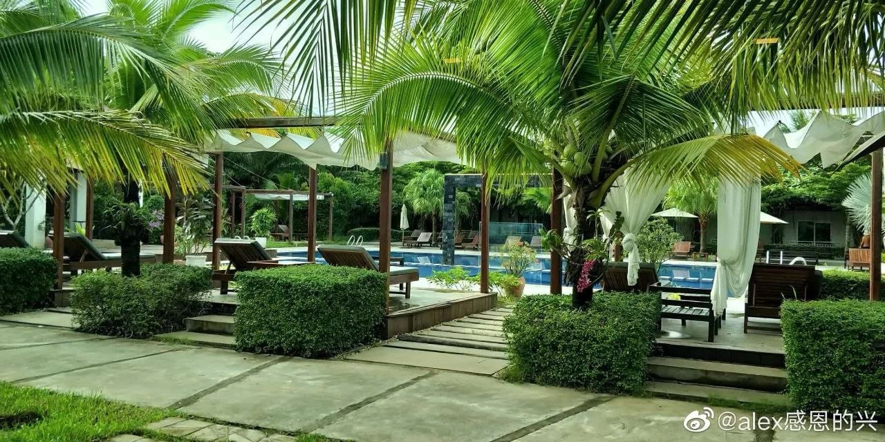 Pool garden and shaded loungers